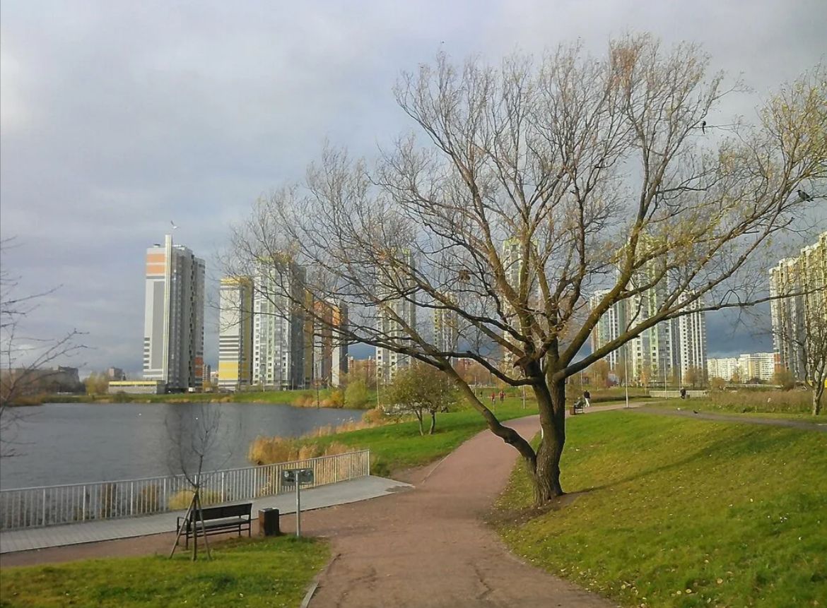 Квартира Белого Льва