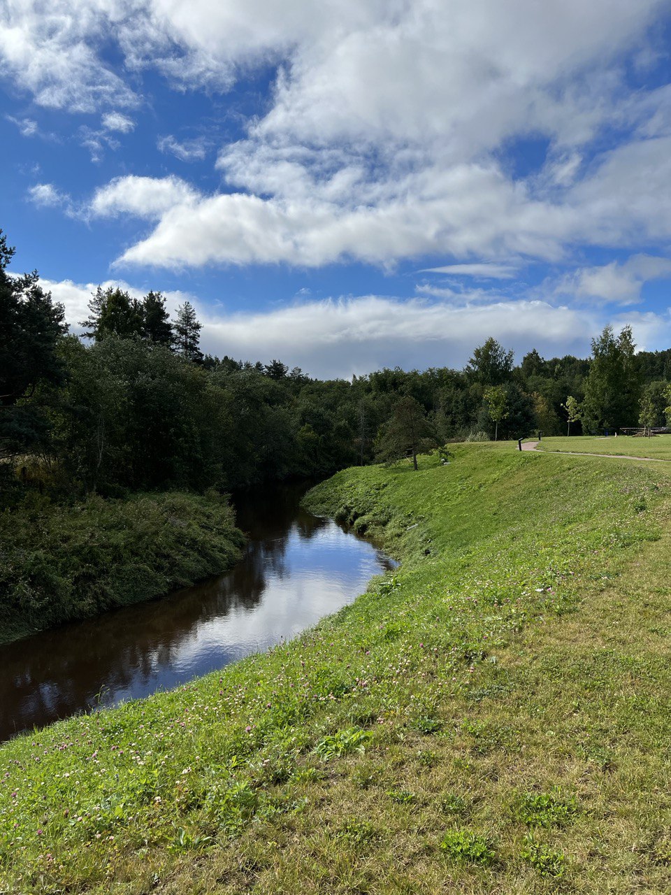 Современная квартира с видом на природу