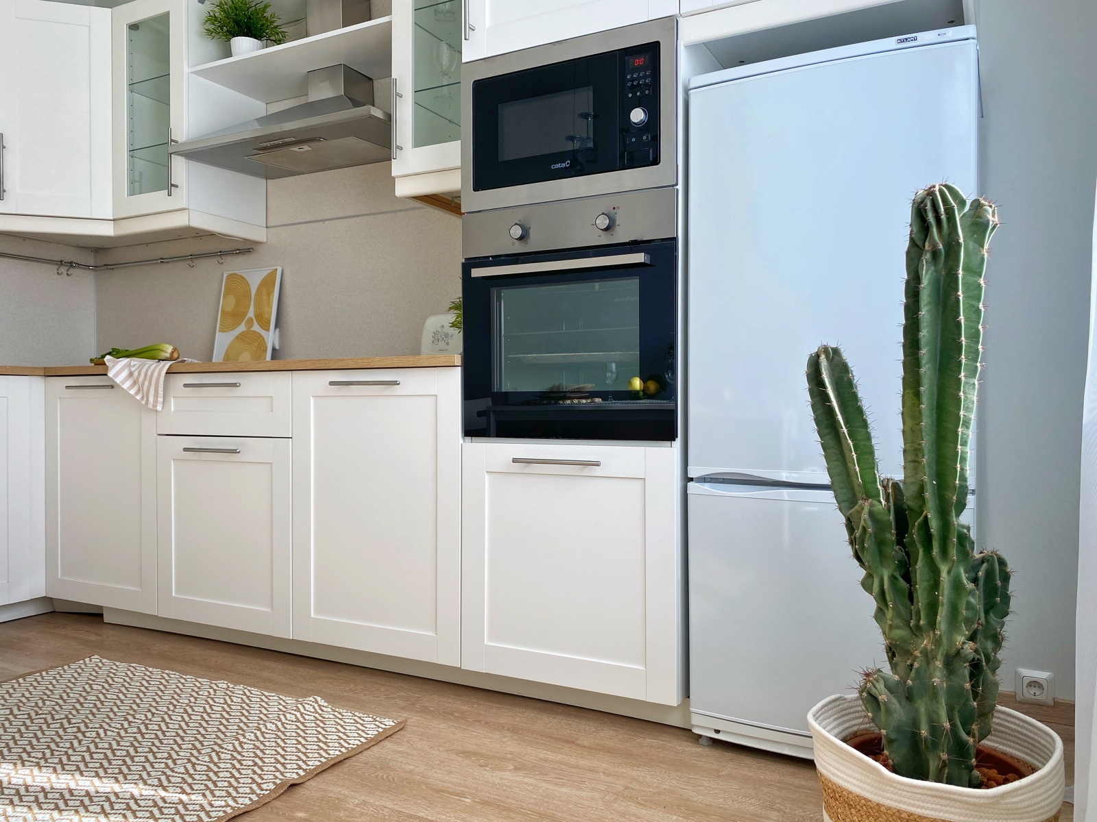 Urban Jungle apart  на Васильевском острове