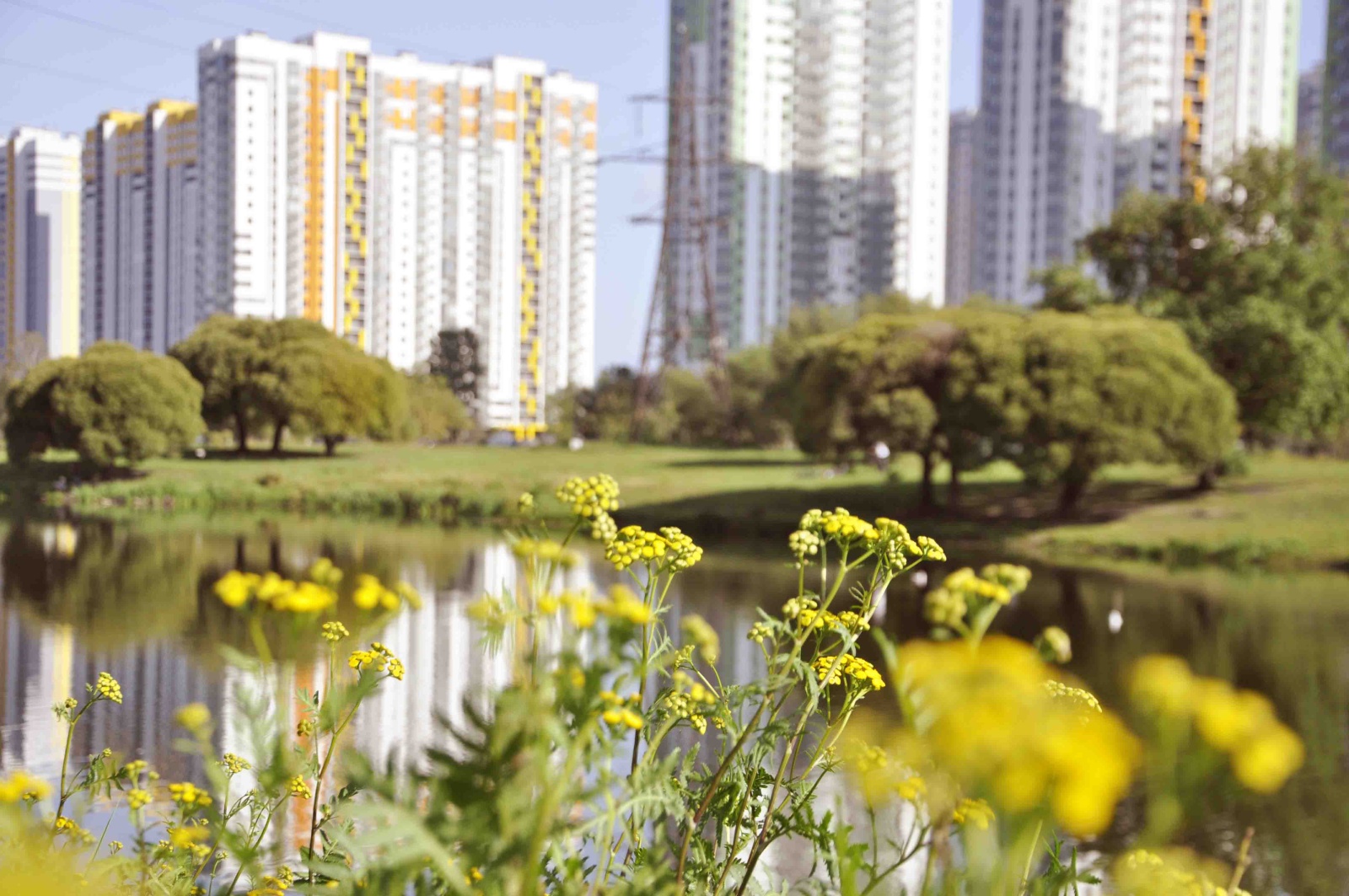 Едем в Питер - Уютные Апартаменты Гарден Вью-2 СОФИЯ евродвушка на Южном шоссе