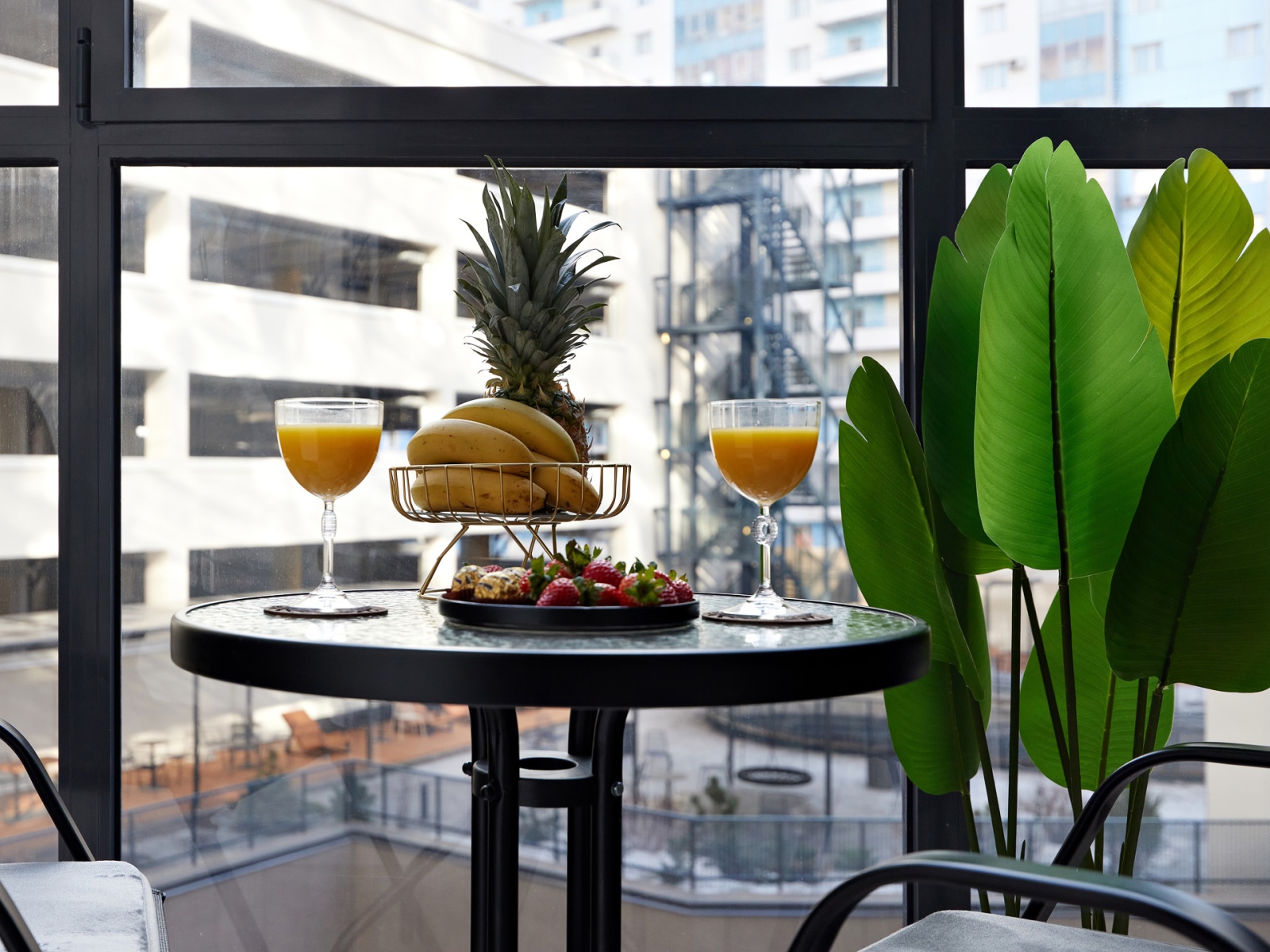 Студия у метро Приморская "Капучино"