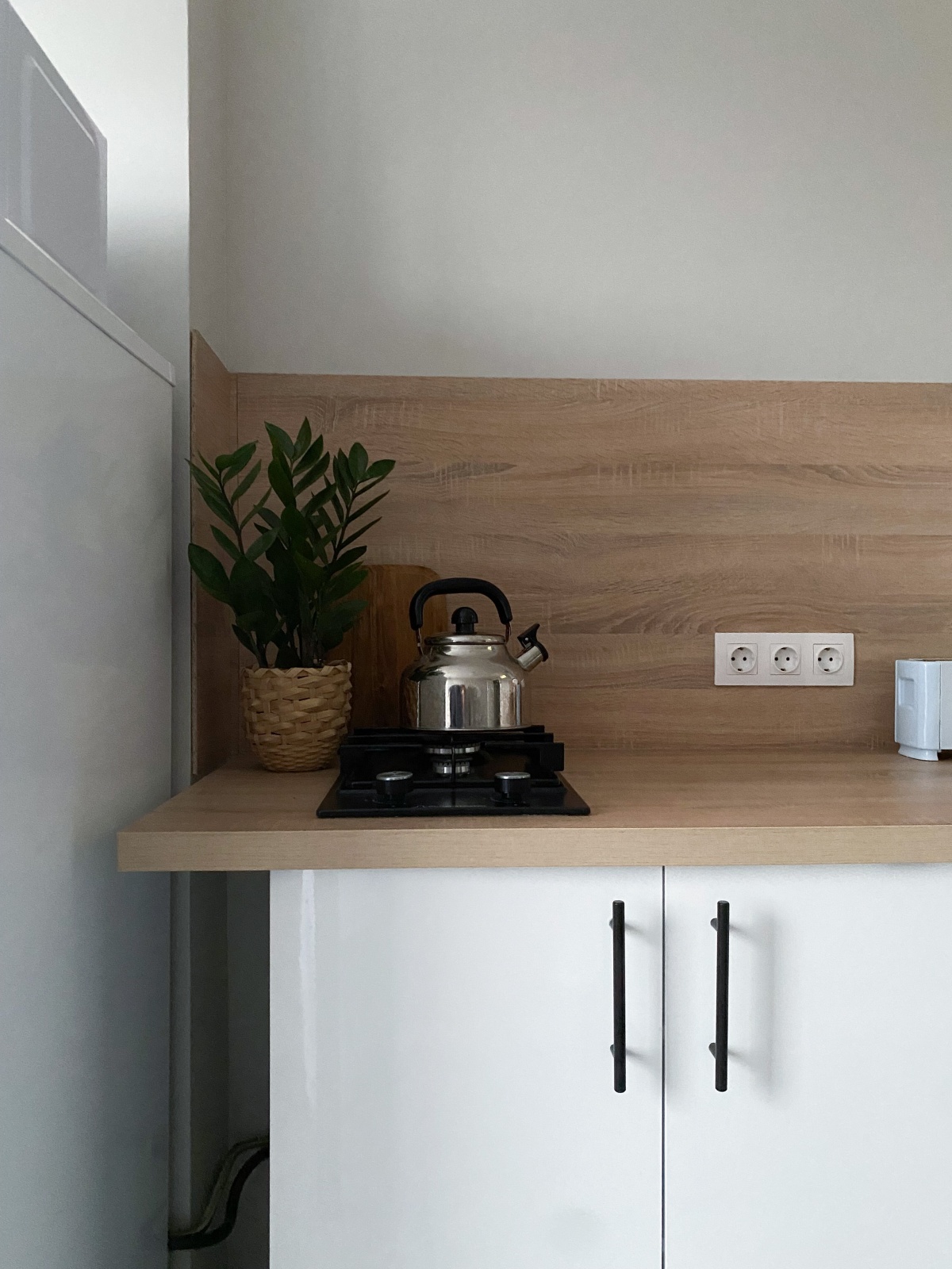 Однокомнатная квартира с видом на парк Декабристов. Васильевский остров