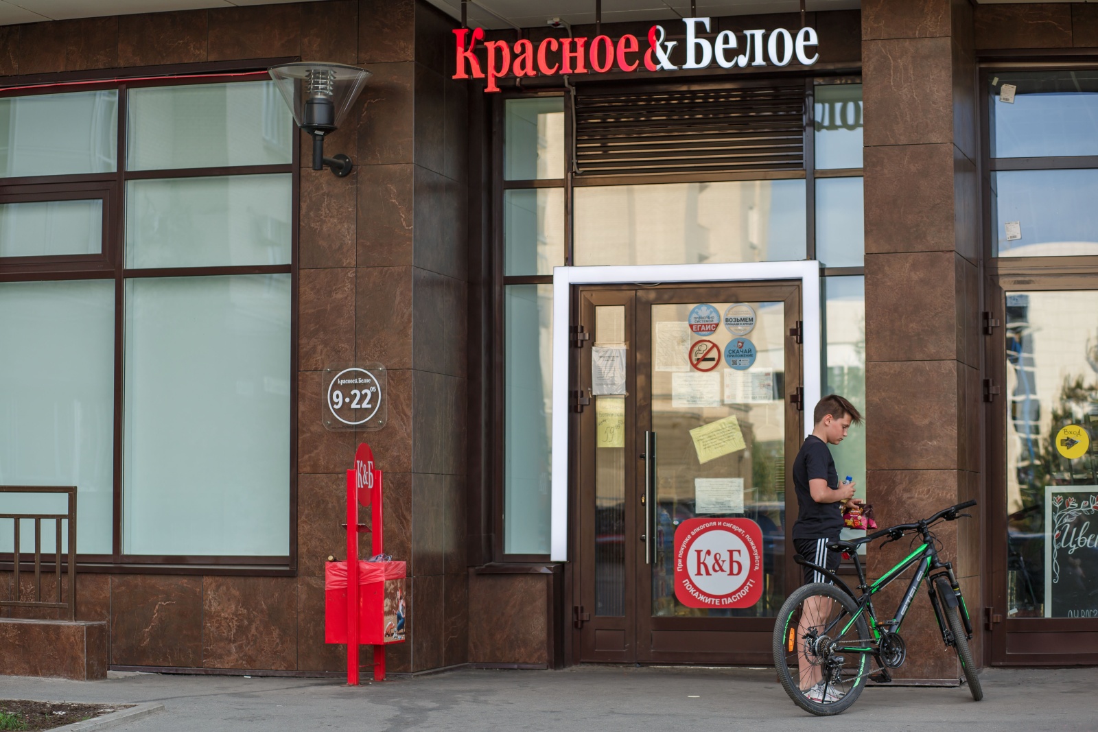 RoomyRoom CityLights