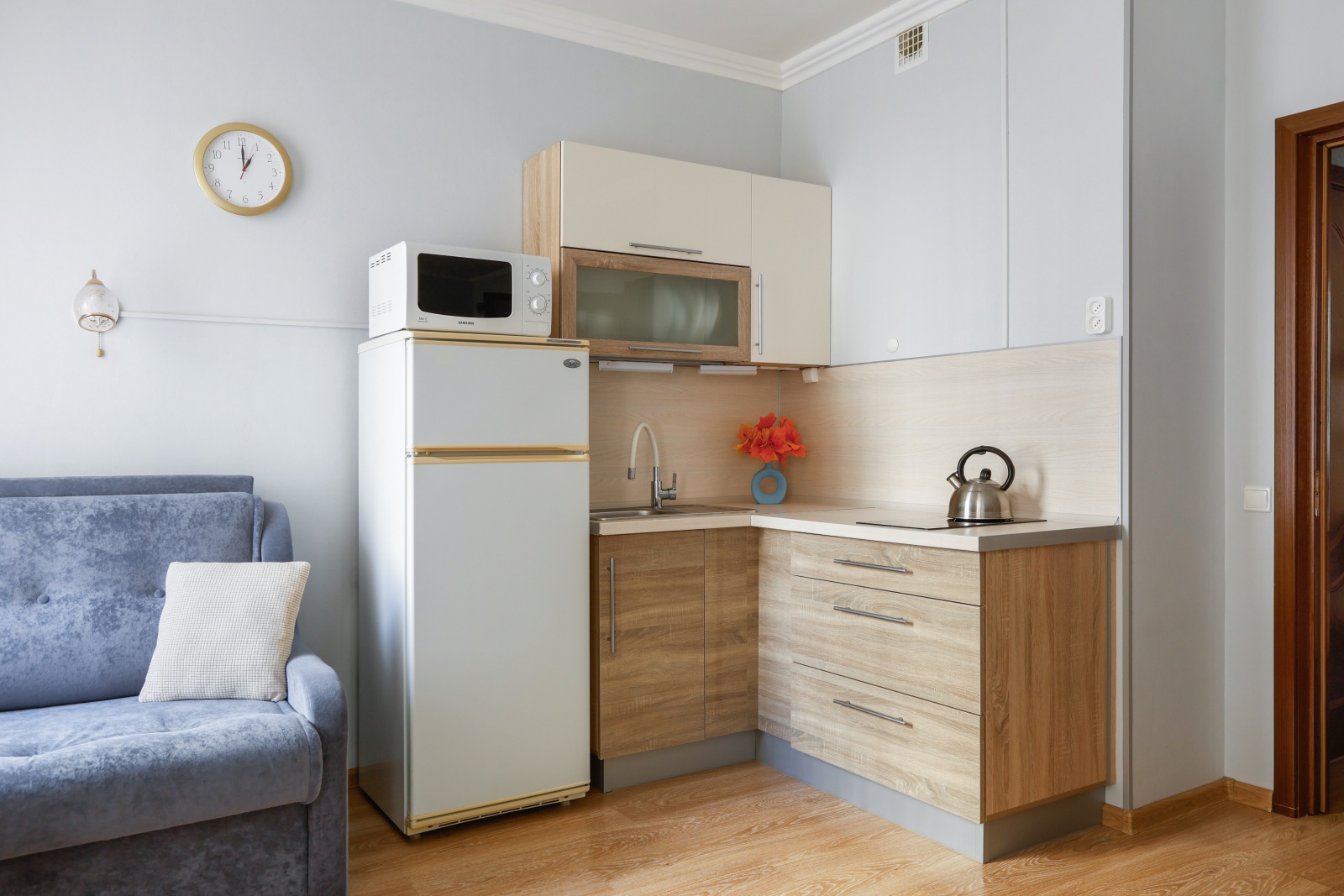 Studio «Ladoga Park» у СКК Ледовый дворец
