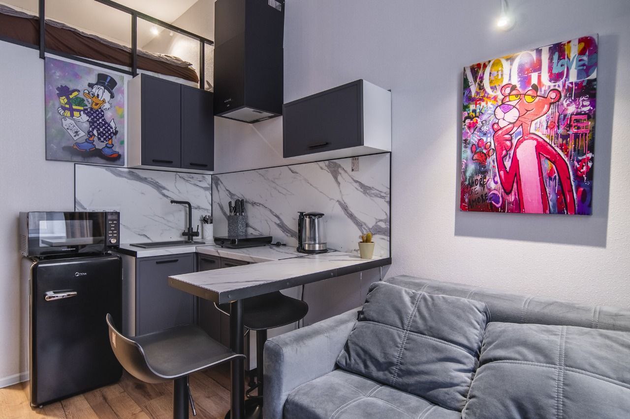 Квартира-студия APARTS в историческом центре, Боровая 11-13