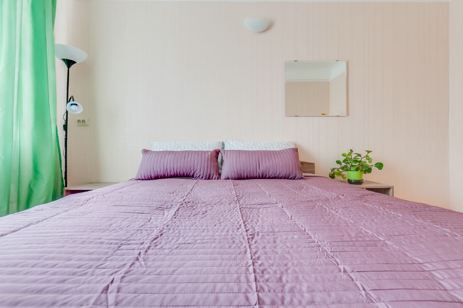 Двухкомнатная квартира около метро "Московская"