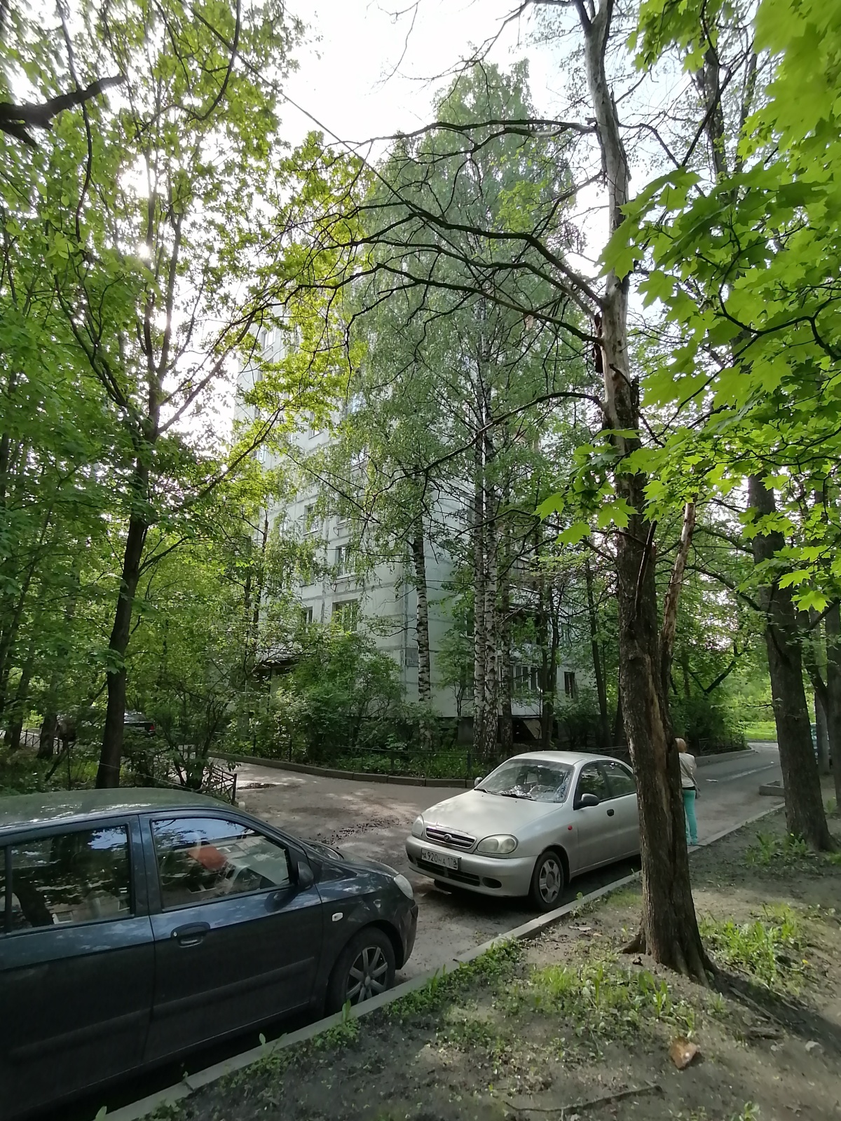 Уютная квартира на Дачном проспекте