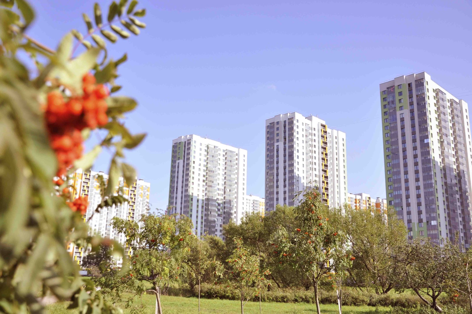 Едем в Питер - Уютные Апартаменты Гарден Вью-2 СОФИЯ евродвушка на Южном шоссе