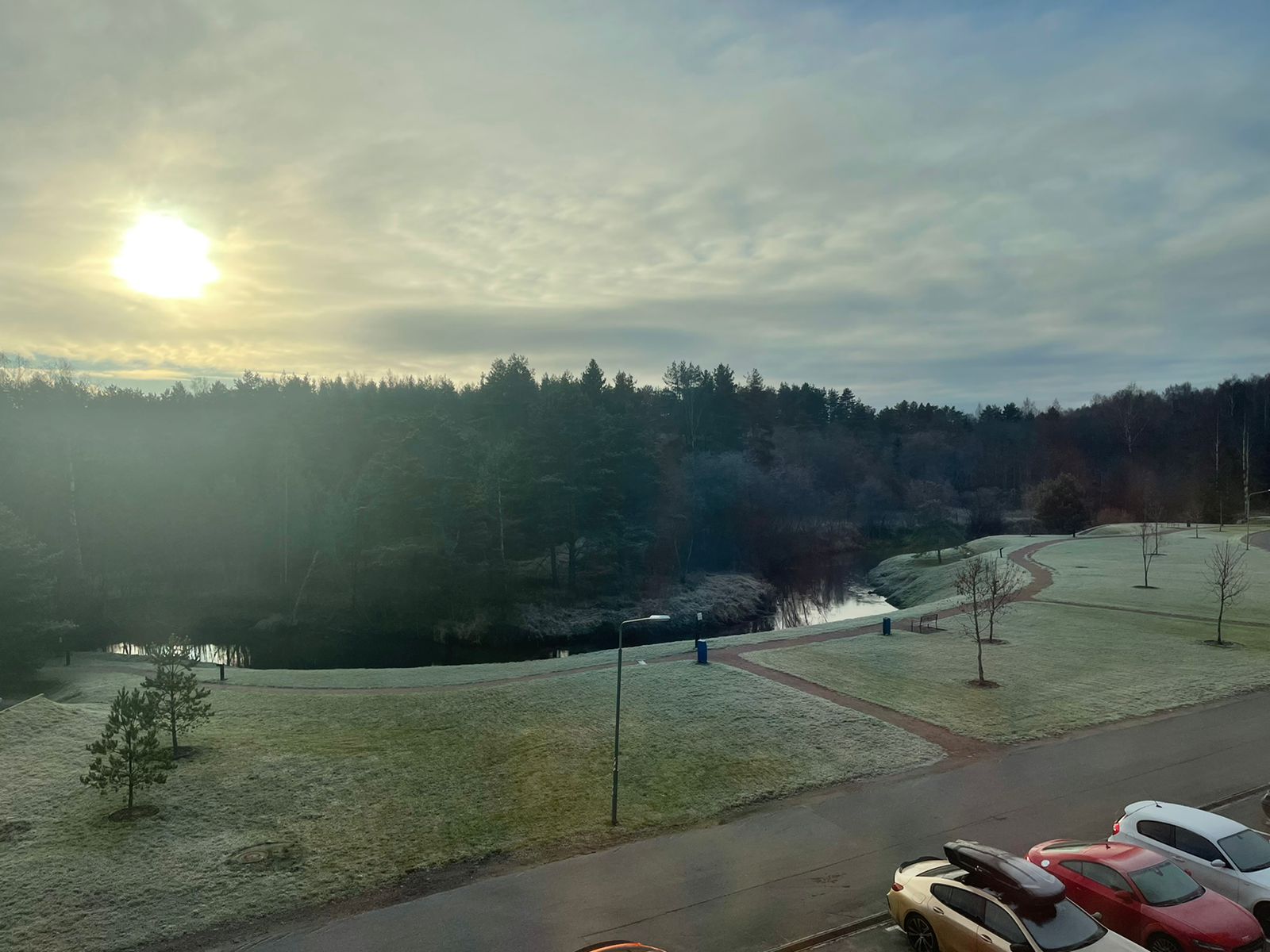 Современная квартира с видом на природу