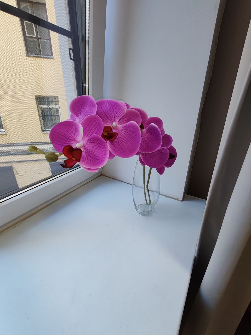 Стильная студия в центре Питера!