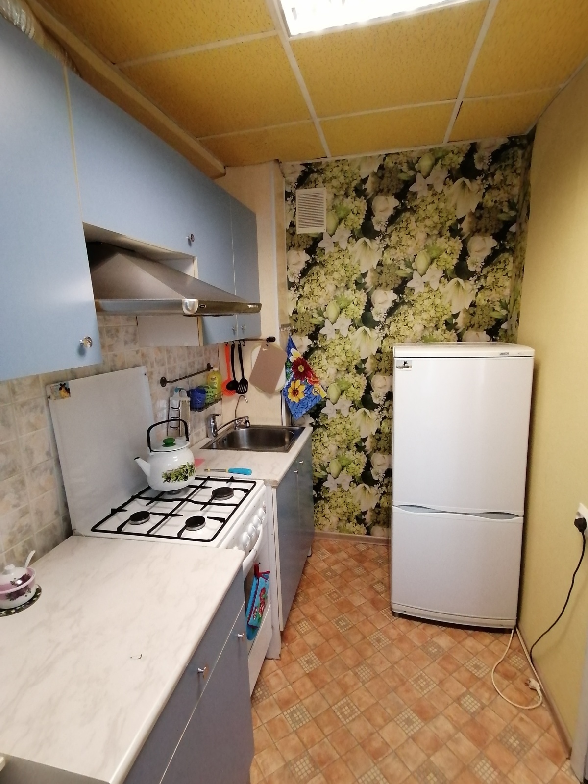 Уютная квартира на Дачном проспекте