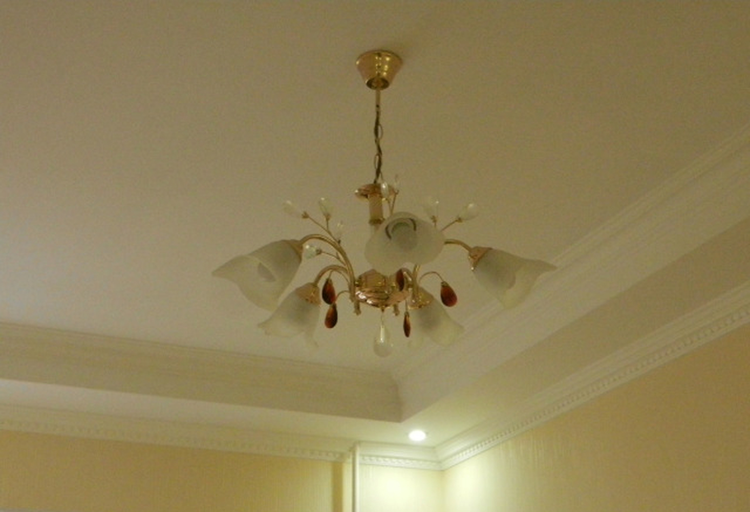 Студия:  Невский проспект наб. реки Мойки, 6 