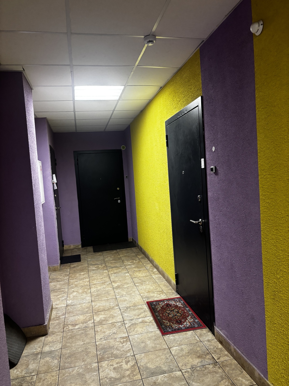 Уютная студия-комфорт у Невы