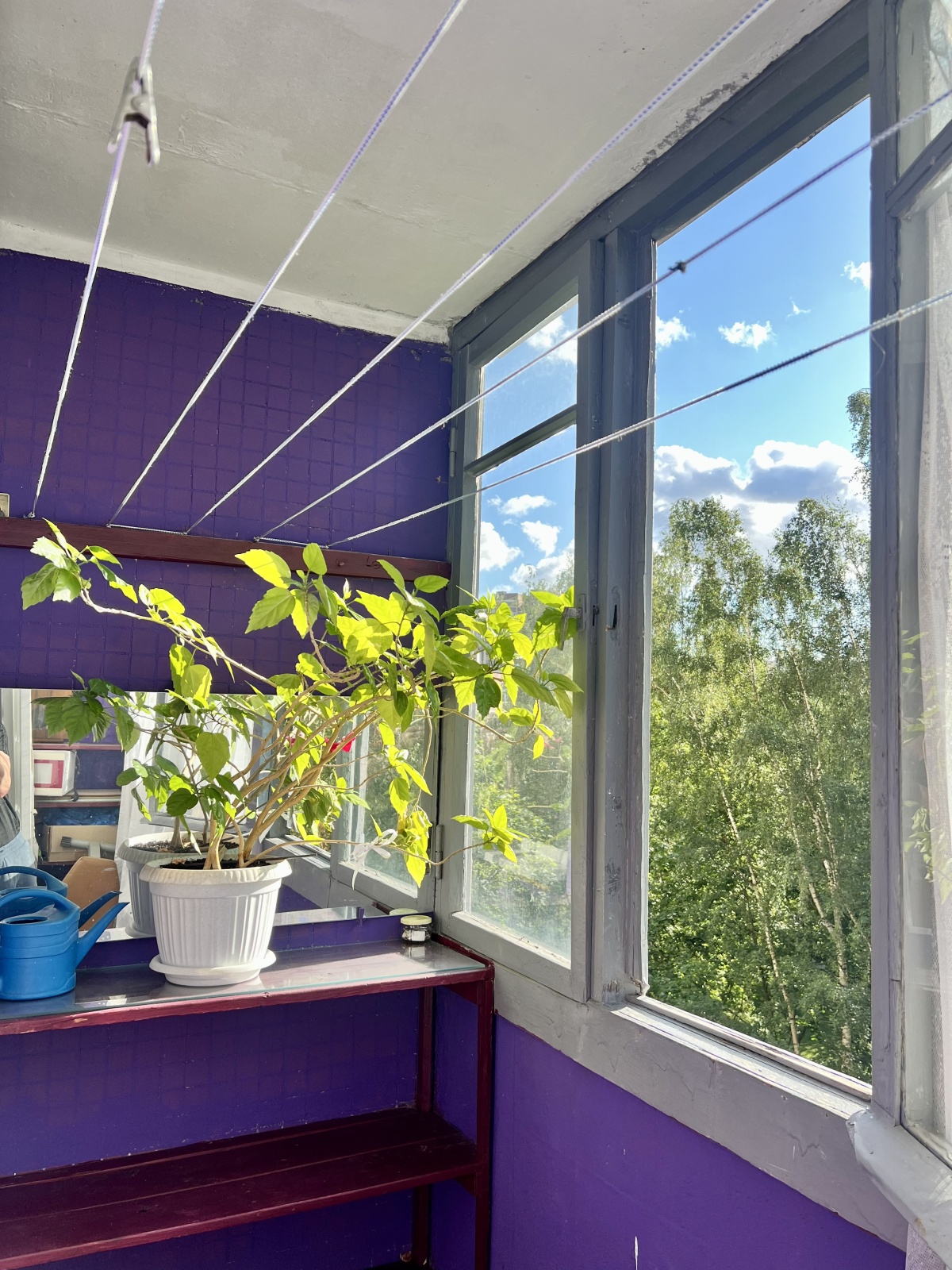 Уютная Квартира У Вредена!