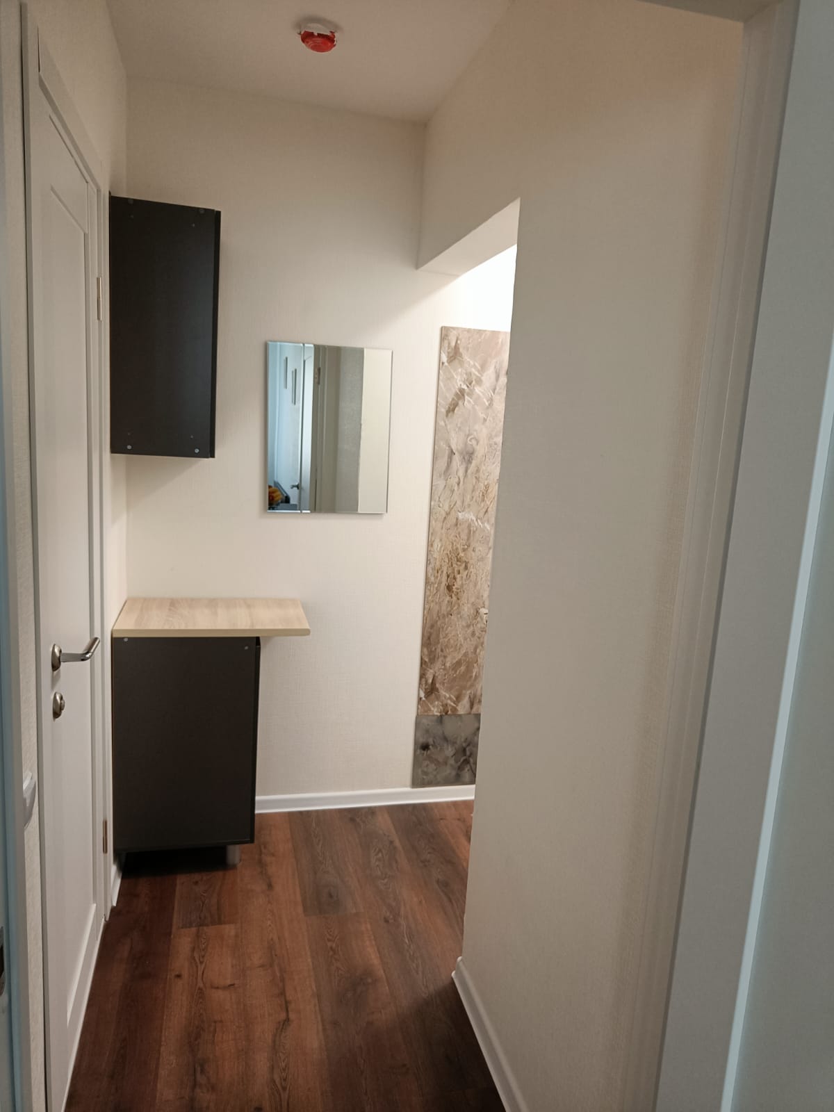 Квартира-студия, 19,5 м², 13/24 эт.