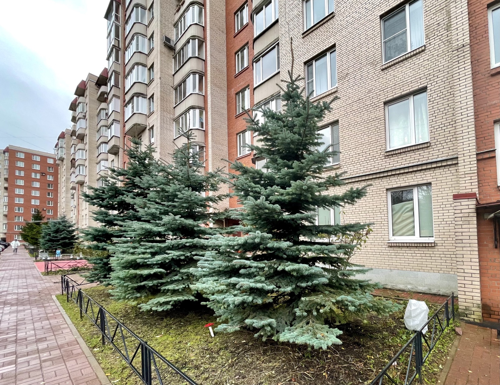 Квартира около Вредена