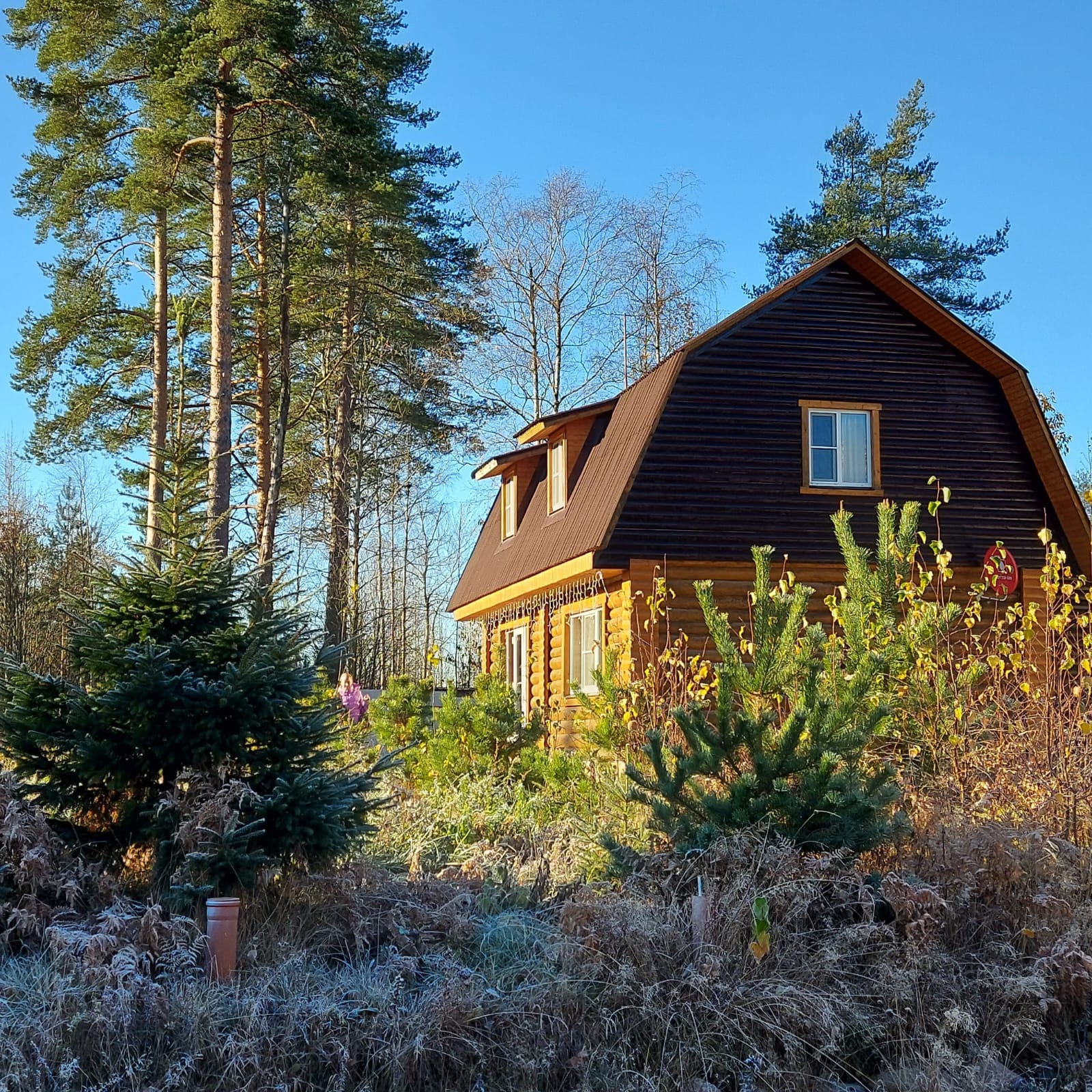 Коттедж Уэкенд в Коробицыно