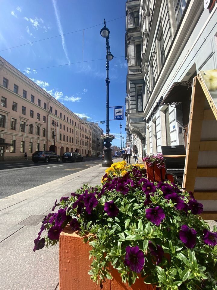 Уютная студия в самом центре Питера