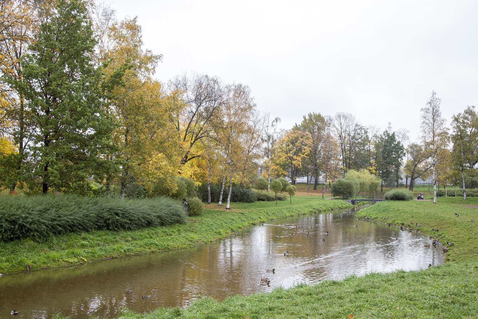 Просторные светлые апартаменты Город Рек на набережной реки Невы (ЖК Мегалит)