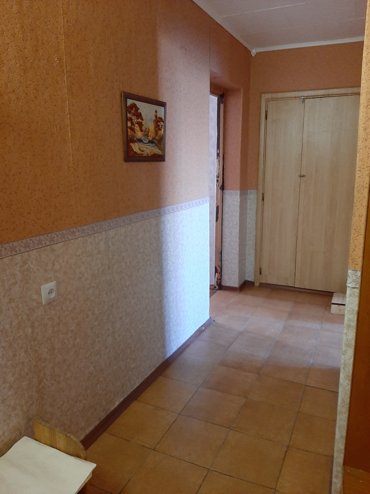 квартира в Петергофе для большой семьи