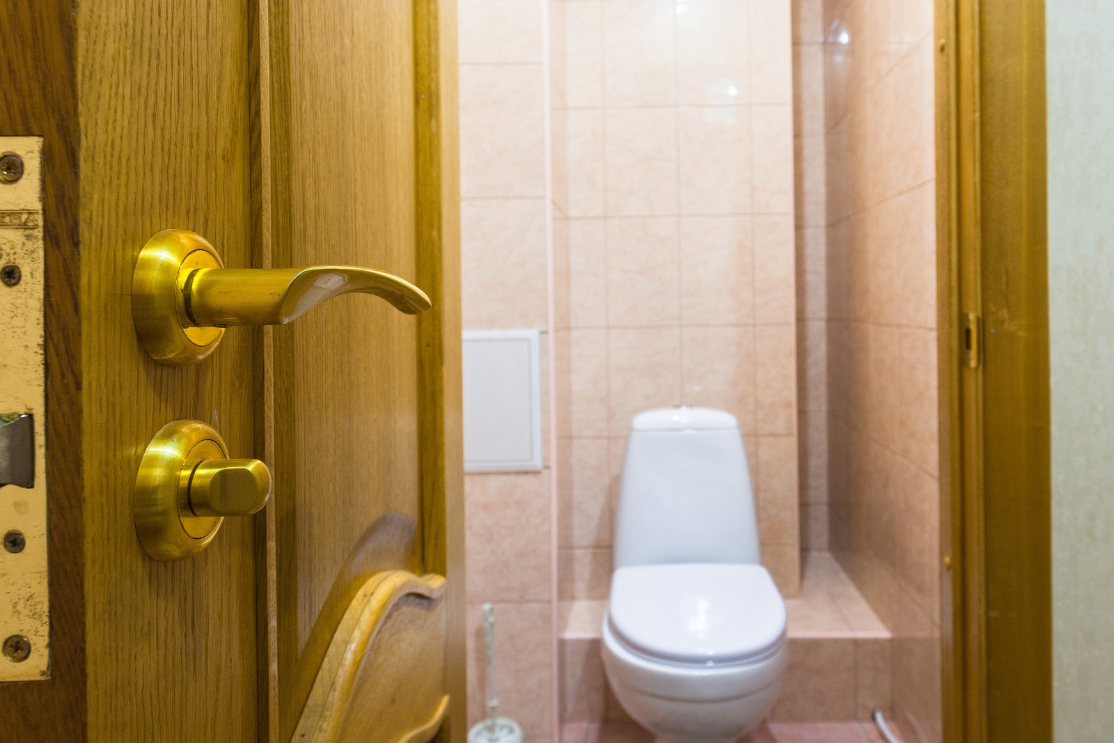 Однокомнатна квартира около НИИ Джанелидзе